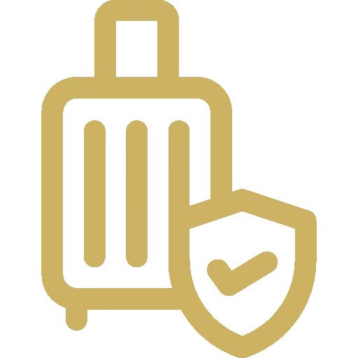 Visitors Insurance
